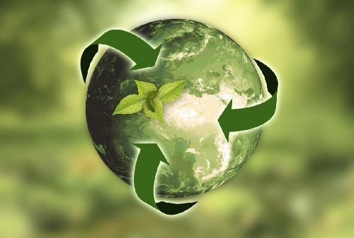 Eco logo